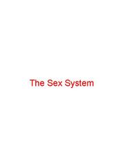 The Sex System Sex Novel