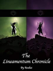 The Lineamentum Chronicle Epithet Erased Novel