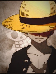 Otaku's Rebirth : One Piece One Piece Novel