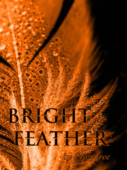 Bright Feather Light As A Feather Novel