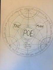 The Mage Poe Rabbit Novel