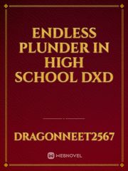 Endless Plunder in High School DXD Translate Novel