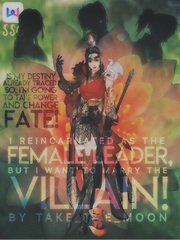 I am reincarnated as the Female Leader, but I want to marry the villain! The 10th Kingdom Novel
