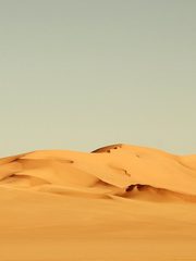 Desert Drifters! Desert Novel
