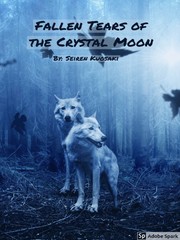 Fallen Tears of the Crystal Moon Book