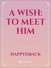 A wish: to meet him Coco Novel