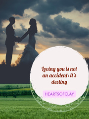 Loving You Is Not An Accident: It's Destiny Wayward Son Novel
