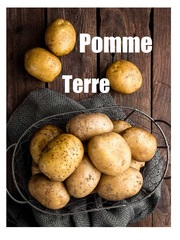 Pomme Terre Book
