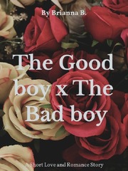 The Good boy x The Bad boy Book