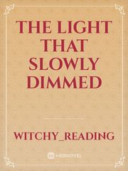 The Light That Slowly Dimmed Book