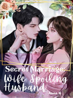Secret Marriage : Wife Spoiling Husband Book