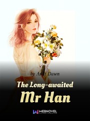 The Long-awaited Mr Han Satire Novel