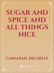 Sugar and Spice and All Things Nice Gay Porn Novel