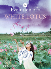 Evolution of a White Lotus Sunrise Novel