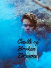 Castle of Broken Dreams Shame Novel