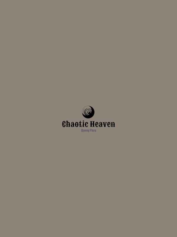 Chaotic Heaven Book