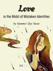 Love in the Midst of Mistaken Identities She Novel