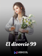 El divorcio número 99 Palo Alto Novel