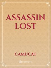Assassin lost Book