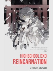 Highschool DxD ( Reincarnated ) One Piece Novel