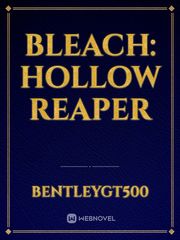 Bleach: Hollow Reaper Its Novel