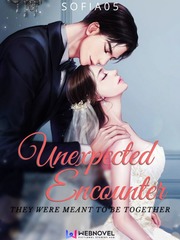 Unexpected encounter:They were meant to be together Before We Get Married Novel