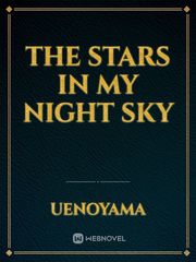 THE STARS IN MY NIGHT SKY Book