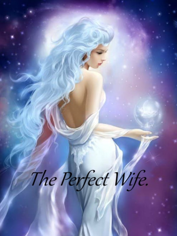 recipe for a perfect wife book review