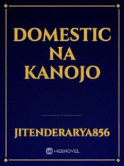 Domestic Na Kanojo Kanojo Okarishimasu Novel