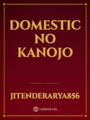 Domestic No Kanojo Kanojo Okarishimasu Novel