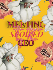 Meeting Him Again: Spoiled By The CEO