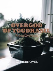 OverGod of Yggdrasil Overlord Volume 14 Novel
