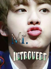 Mr. Introvert Introvert Novel