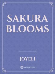 Sakura Blooms