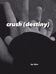Crush (Destiny) Kimi Ni Todoke Novel