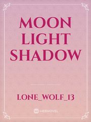 Moon Light Shadow Book