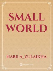 Small World Small Novel