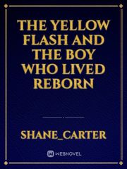 the yellow Flash and the boy who lived reborn Book