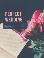 Perfect Wedding Wedding Novel
