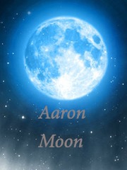 Aaron Moon: Freedom System Fantasy Sex Novel