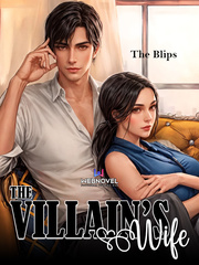 The Villain's Wife Cinderella Story Novel