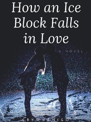 How an Ice Block Falls in Love Book