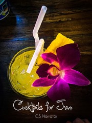 Cocktails For Two Book