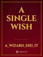 A Single Wish Book