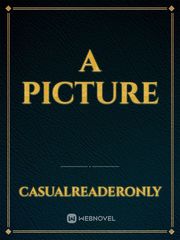 A Picture Picture Novel
