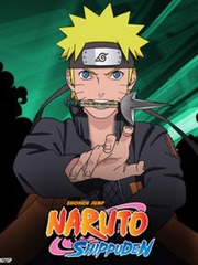Naruto Shippuden. Book