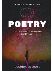 Poetry Poetry Novel
