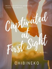 Captivated at First Sight Gay Romance Novel