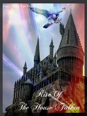 Rise of House Falken - Harry Potter Fan Fiction Book
