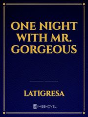 One Night with Mr. Gorgeous Busty Babysitter Novel